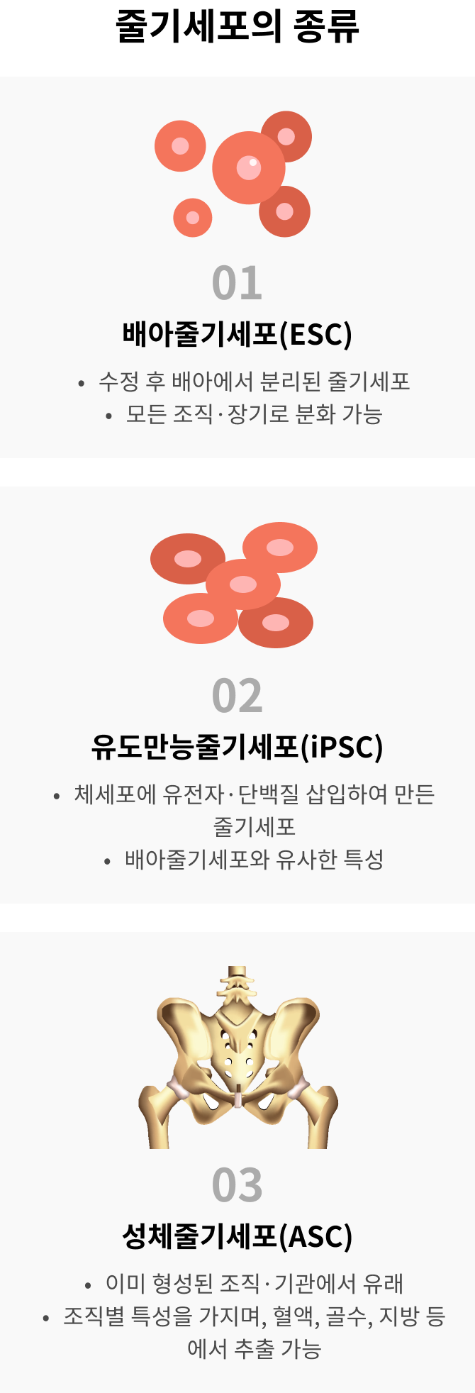 면역진단