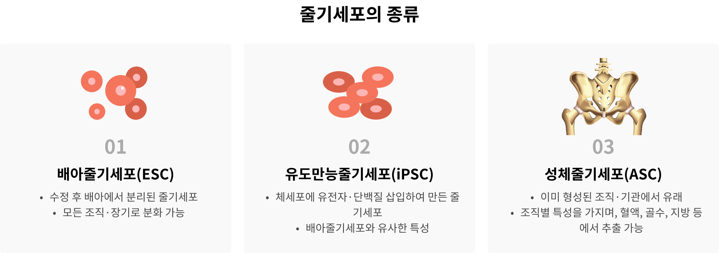 면역진단