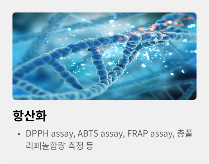항산화