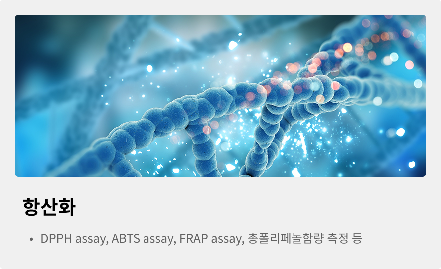 항산화