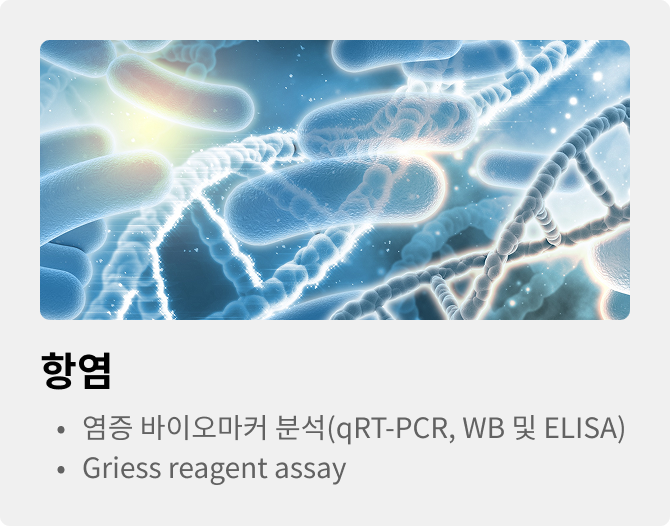 항염