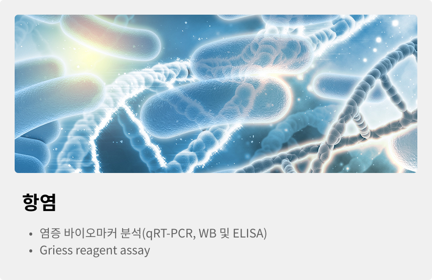 항염