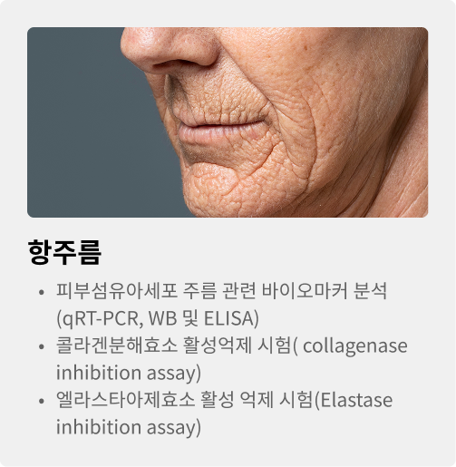 항주름