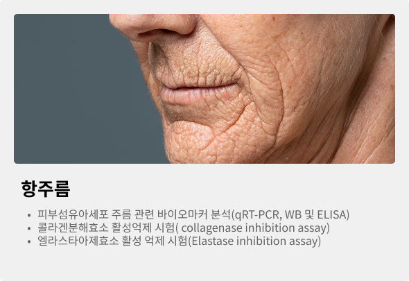 항주름