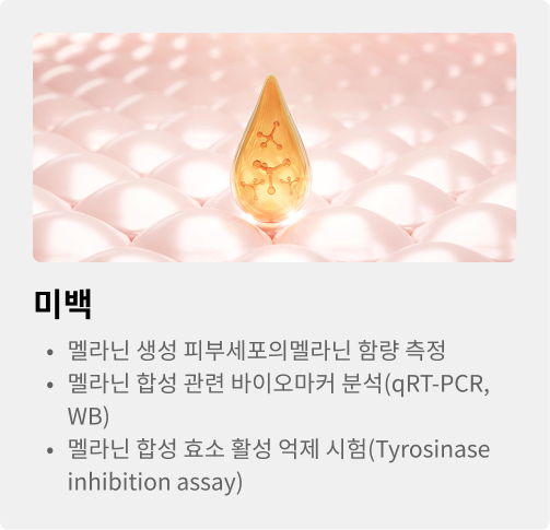 미백