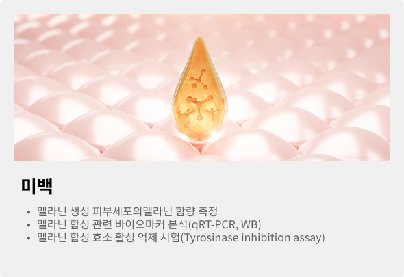 미백