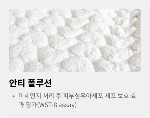 안티 폴루션