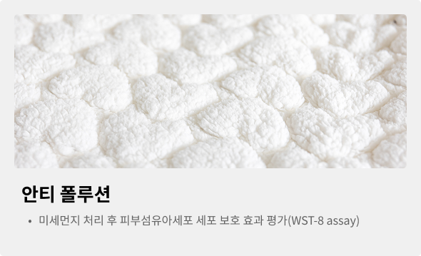 안티 폴루션