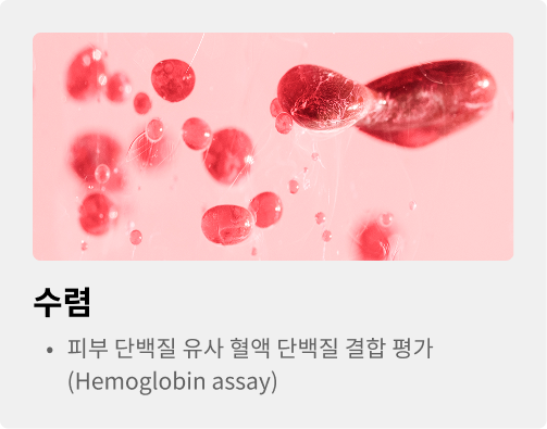수렴