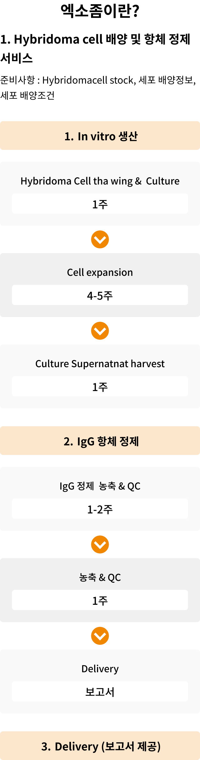 항체정제